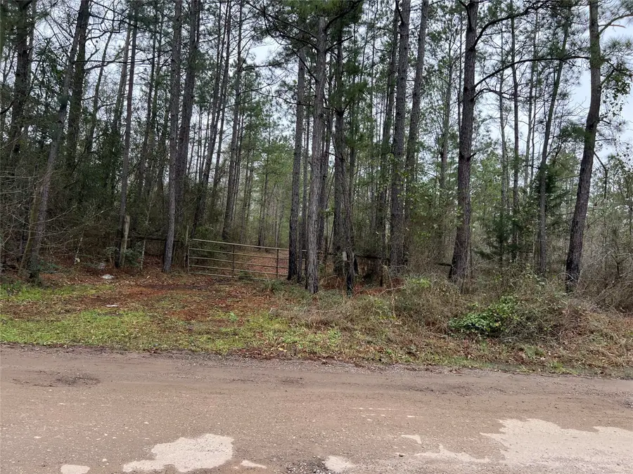 TBD Lee Turner Road, Shepherd Evergreen, TX 77328 - Image #2