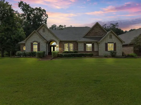 1303 China Grove Drive, Rosharon, TX 77583
