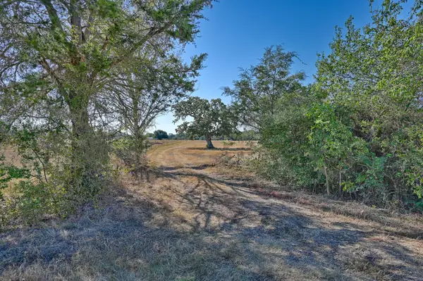 TBD Ullrich Road, Carmine, TX 78932
