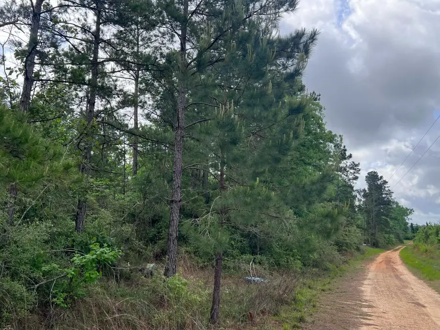 000 County Road 2041, Newton, TX 75966 - #2