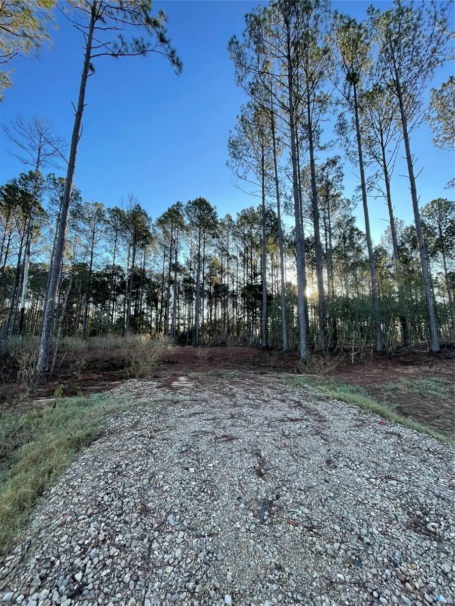 11356 Annie Creek Drive, Willis, TX 77378 - Image #2