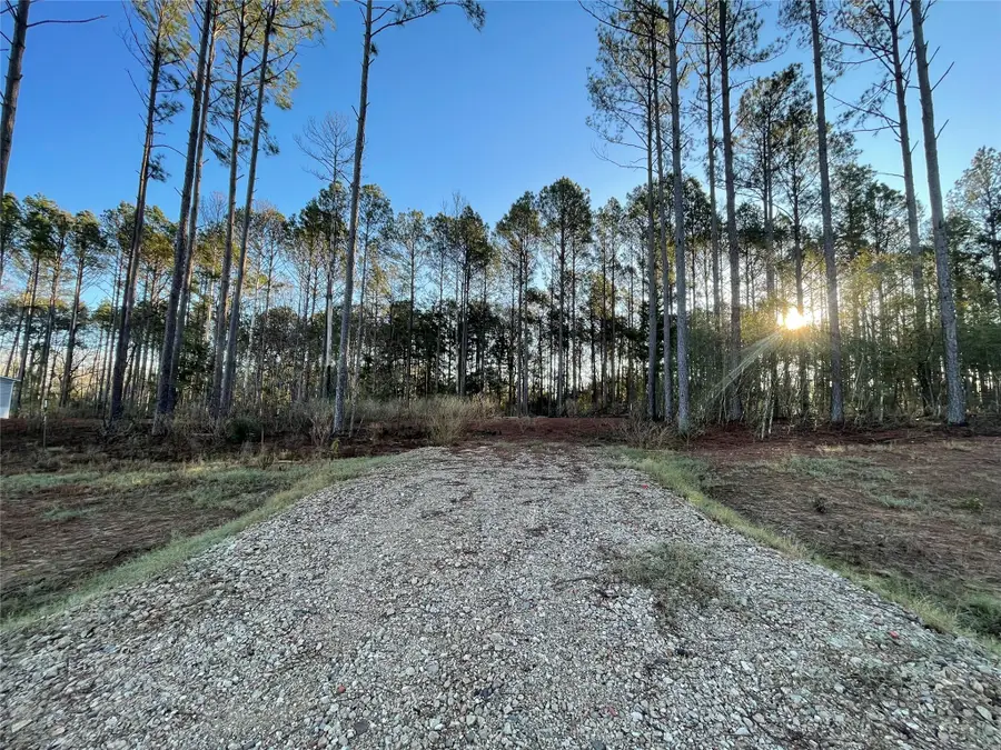 11356 Annie Creek Drive, Willis, TX 77378 - Image #3