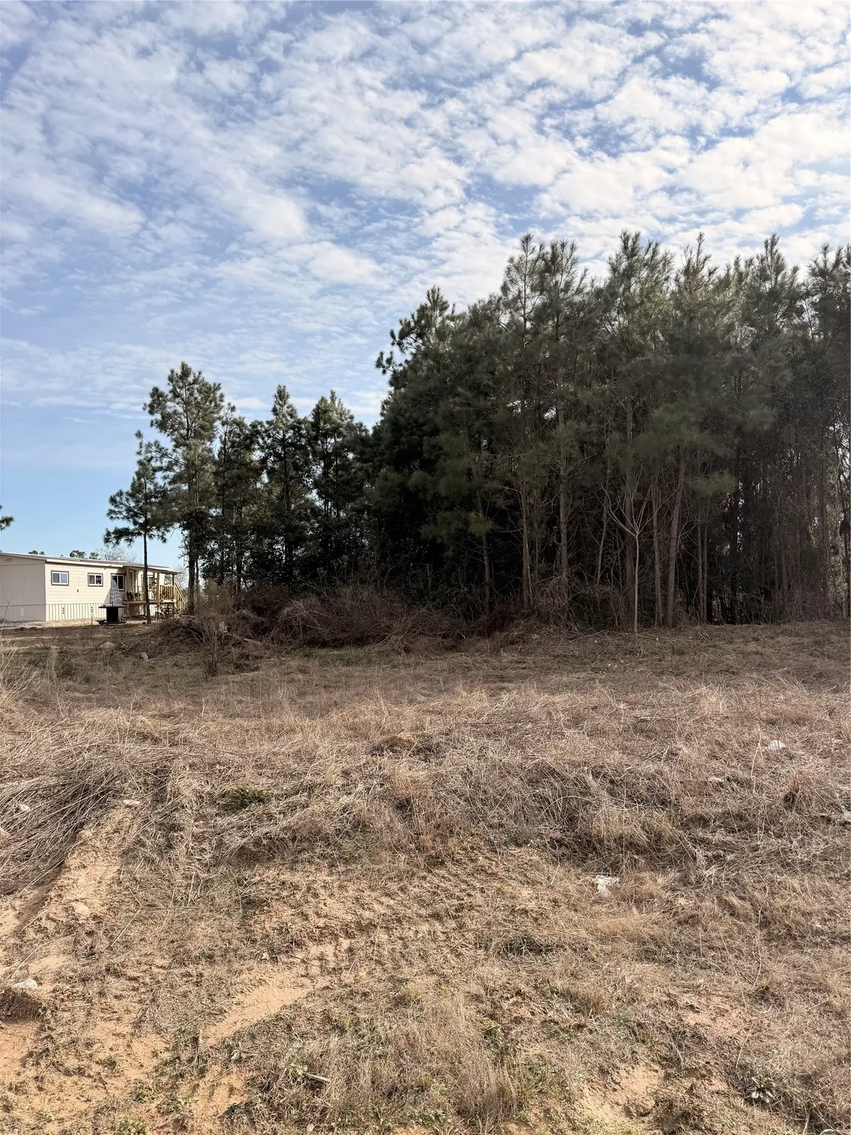 10024 Road 5868, Dayton, TX 77535 - #1