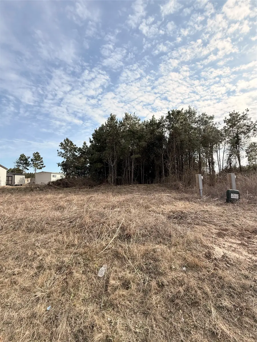 10024 Road 5868, Dayton, TX 77535 - #3