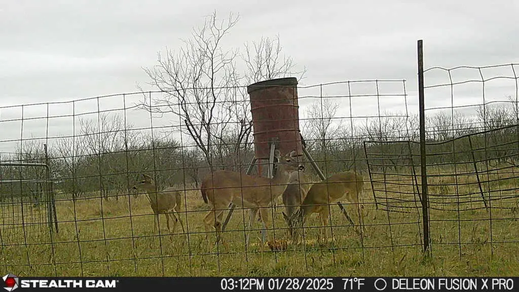 851 County Road 450, De Leon, TX 76444 - Image #1