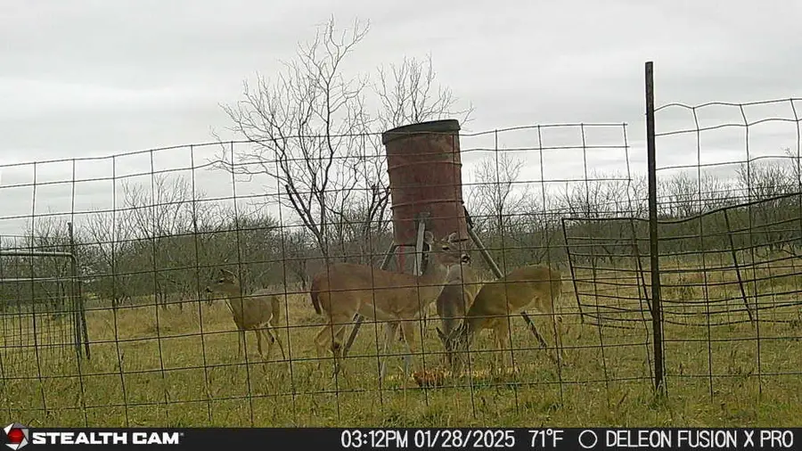 851 County Road 450, De Leon, TX 76444 - Image #3