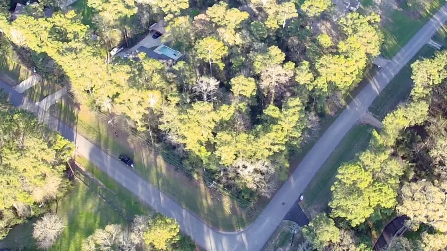 000 Baneberry Road, Magnolia, TX 77355 - Image #2