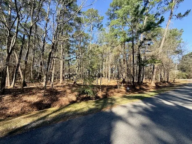 220 Altwood Drive, Coldspring, TX 77331 - #2