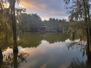 523 County Road 2859, Cleveland, TX 77327 - Image #1