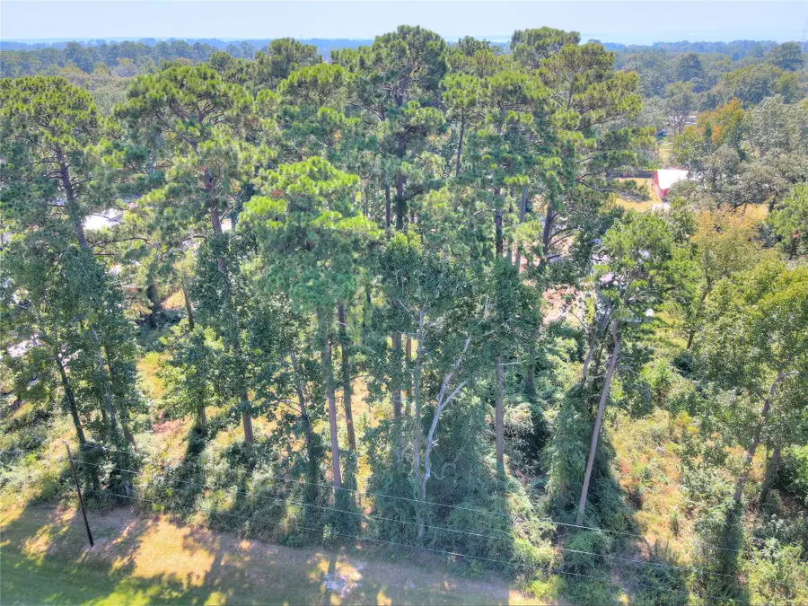 0 Magnolia Park, Onalaska, TX 77360 - Image #2