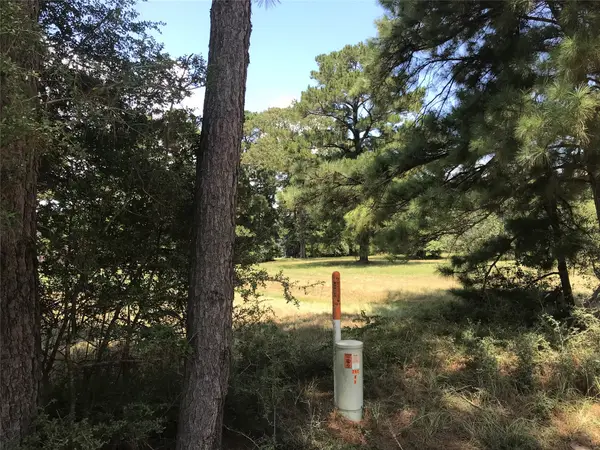 12 Cedar Springs, Trinity, TX 75862
