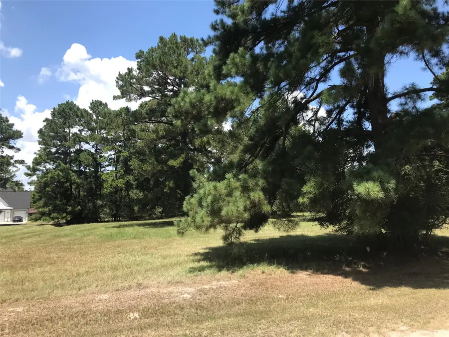 12 Cedar Springs, Trinity, TX 75862 - #3
