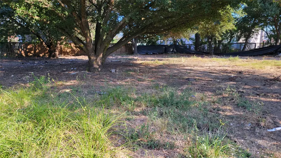 24214 Foxwood Lane, Huffman, TX 77336 - Image #3