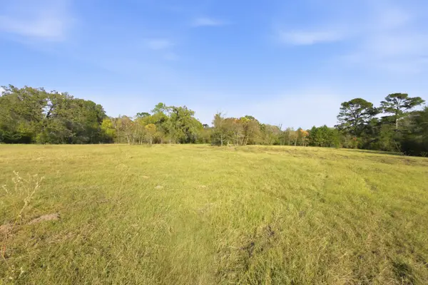 TBD County Rd 204, Plantersville, TX 77363