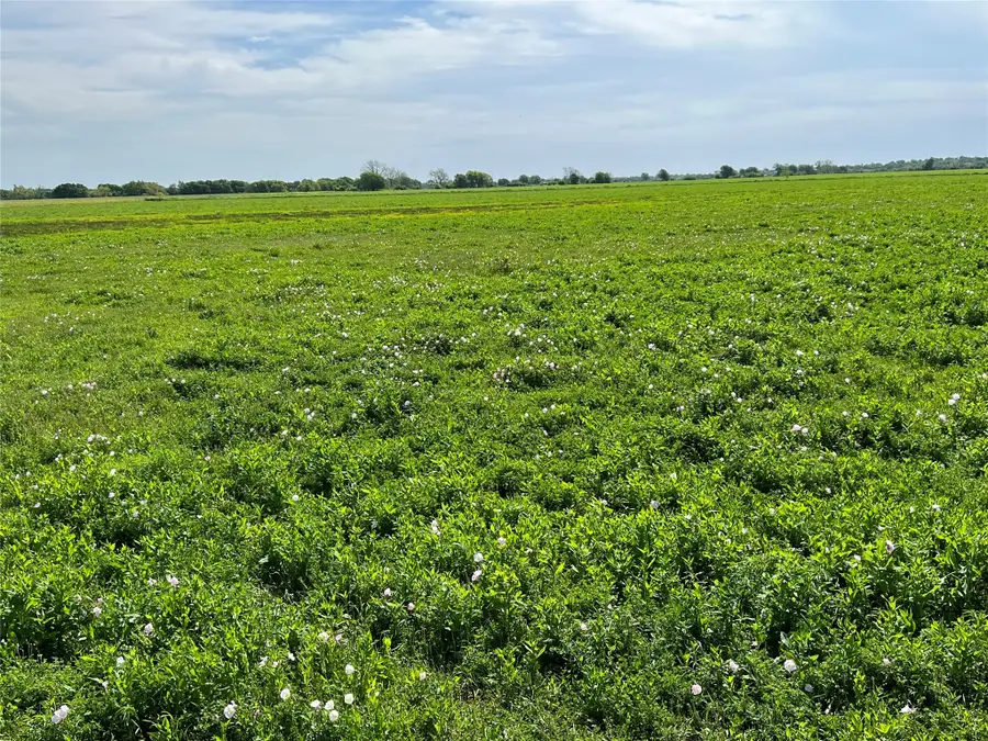 31555 Fm 159, Navasota, TX 77868 - Image #2