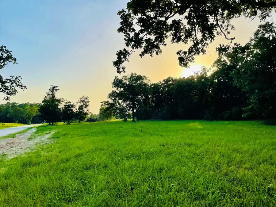 Lot 1 Brushy Creek Drive, Onalaska, TX 77360 - Image #2