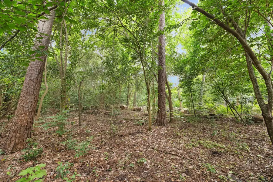 7 Carlton Park Court, Houston, TX 77024 - Image #2