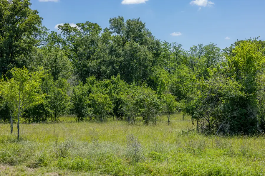 6558 Atakapan Trail, Bedias, TX 77831 - #2