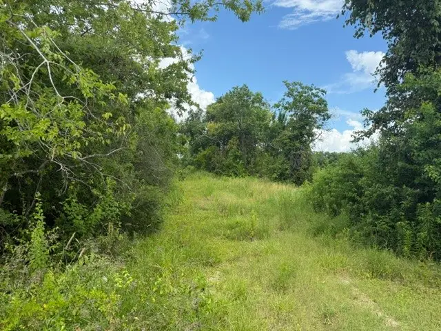 0 Wetzel, Texas City, TX 77591 - #3