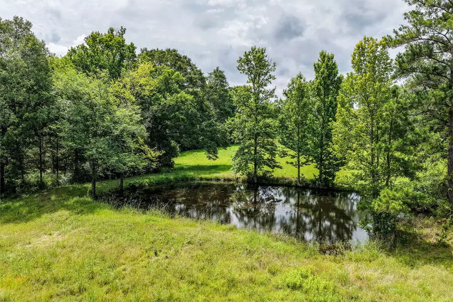 341 Cr 1675, Grapeland, TX 75844 - #2
