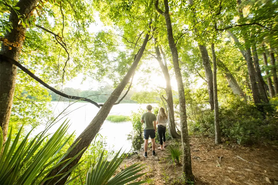 1-1-51 Saddle Ridge Drive, Huntsville, TX 77340 - Image #3