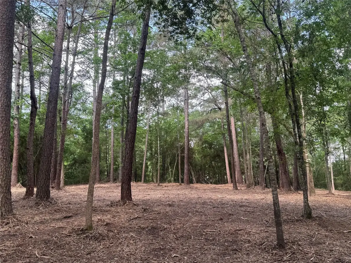 29 & 30-21-9 Windmill Road, Huntsville, TX 77340 - #1