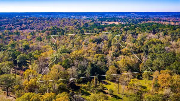 0 Live Oak Lane, Coldspring, TX 77331