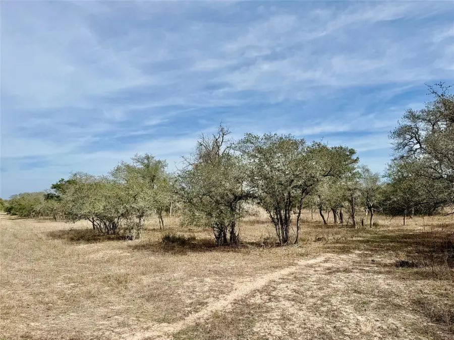 19.88 acres Friar Road, Cuero, TX 77954 - #3