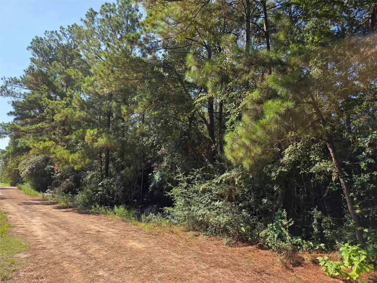 0 Tawnyberry Lane, Plantersville, TX 77363 - Image #1