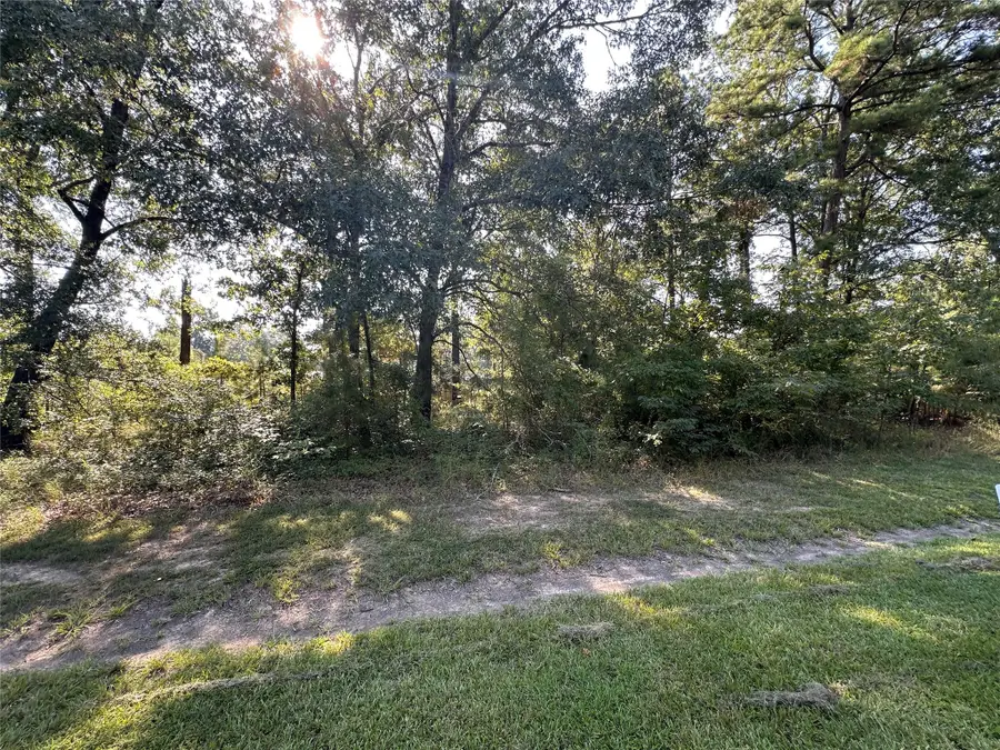 TBD Monte Carlo Road, Point Blank, TX 77364 - Image #2