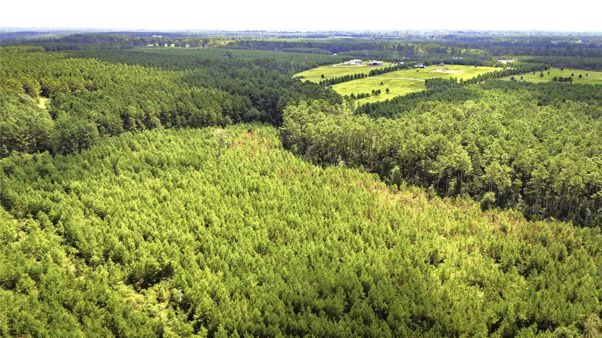 TBD Stutts, Livingston, TX 77351 - Image #1