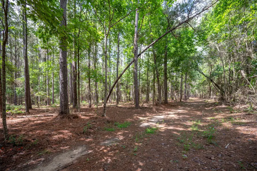 tbd Tile Plant Road, Woodville, TX 75979 - Image #2