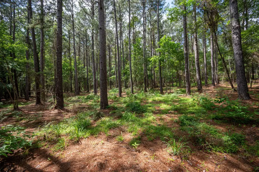 tbd Tile Plant Road, Woodville, TX 75979 - Image #3