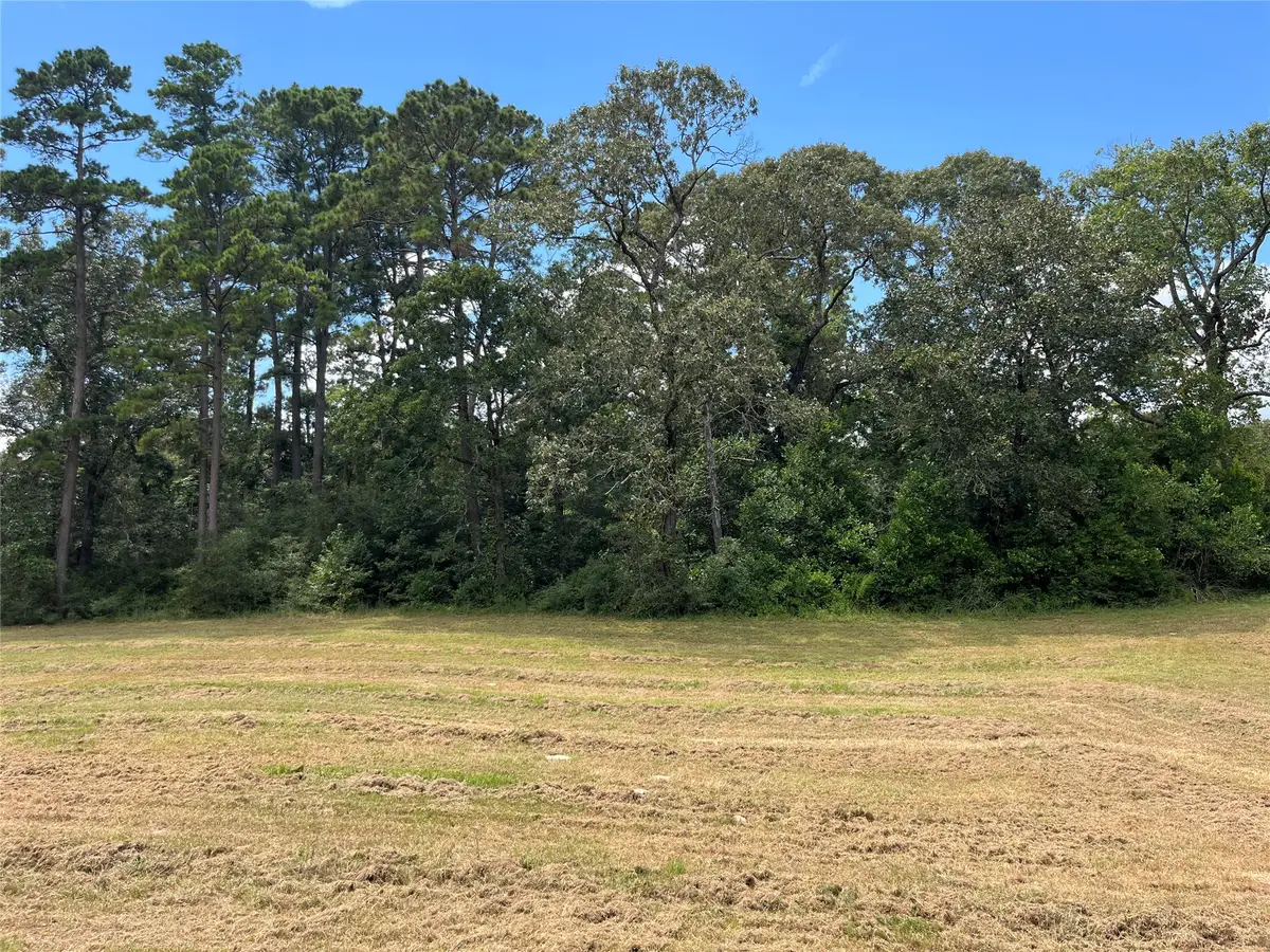 12147 Mustang Avenue, Willis, TX 77378 - #1