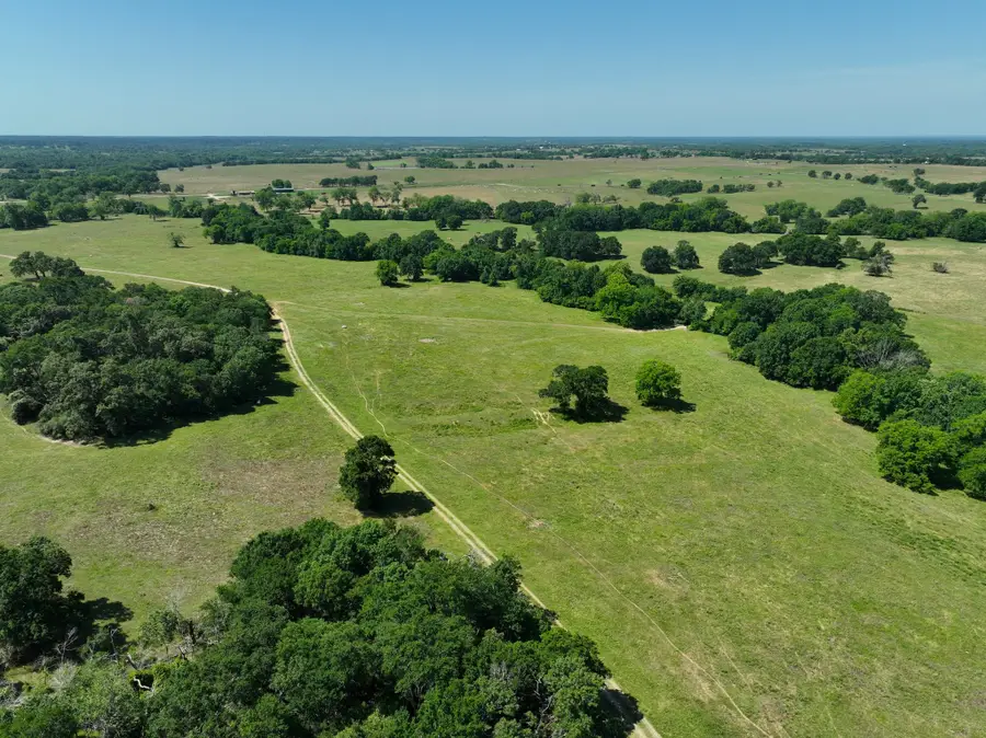 Tract #9 Cr 305 Road, Navasota, TX 77868 - Image #3
