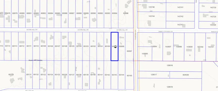 19402 Acorn Hill Drive, Conroe, TX 77302 - #2