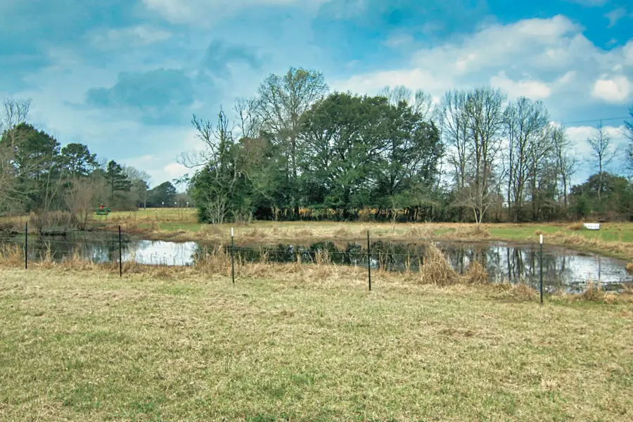 366 County Road 190, Liberty, TX 77575 - #2