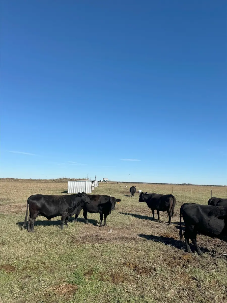 00 County Road 312, Louise, TX 77455 - Image #2