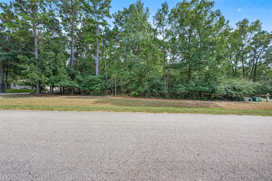 TBD Ridge Lake Drive, Montgomery, TX 77316 - #2