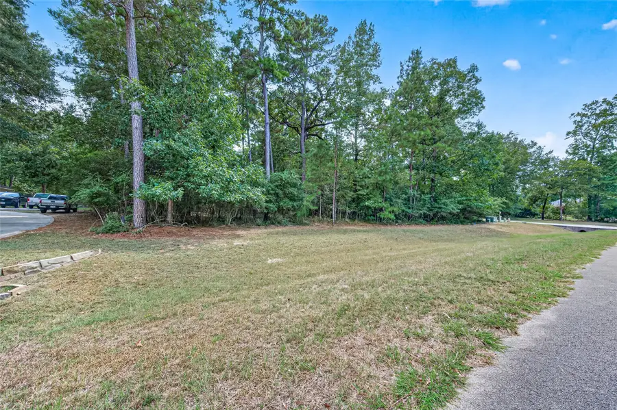 TBD Ridge Lake Drive, Montgomery, TX 77316 - #3