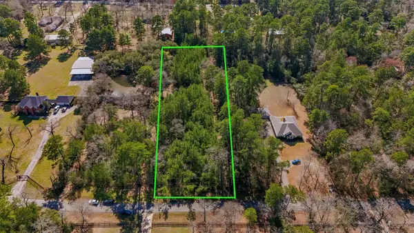 15245 Shady Oaks Drive, Stagecoach, TX 77355