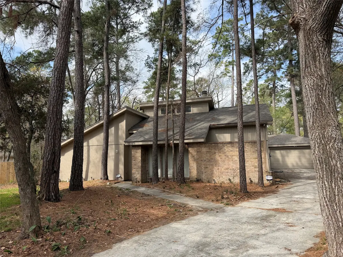 12025 Acorn Oak Street, The Woodlands, TX 77380 - #1