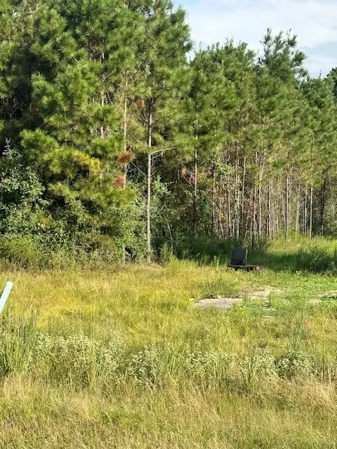 642 County Road 5015, Cleveland, TX 77327 - Image #3