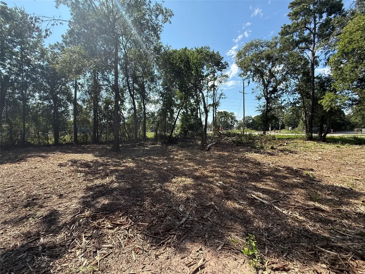 0 Chateau Woods, Conroe, TX 77385 - Image #1