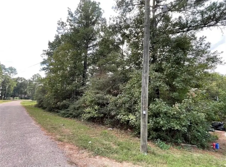 24058 Butterfly Lane, Porter, TX 77365 - Image #2