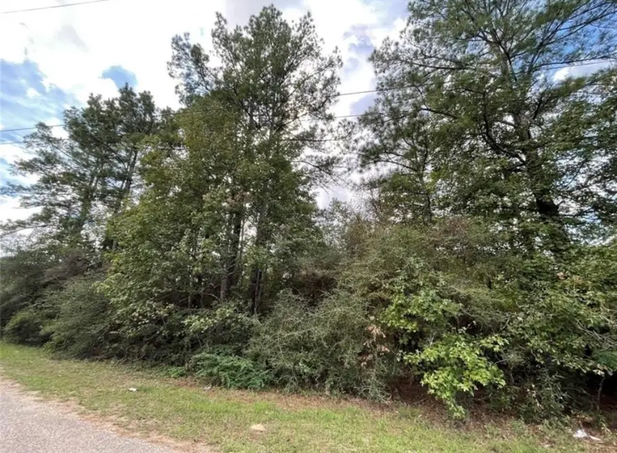 24058 Butterfly Lane, Porter, TX 77365 - Image #3