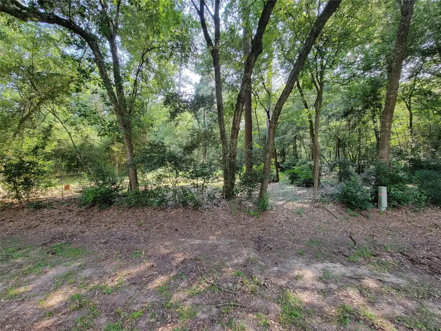 0 Wild Oak Drive, Houston, TX 77090 - Image #3
