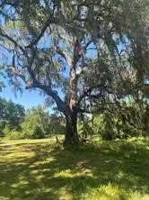 663 Pony Trail, Angleton, TX 77515 - #3