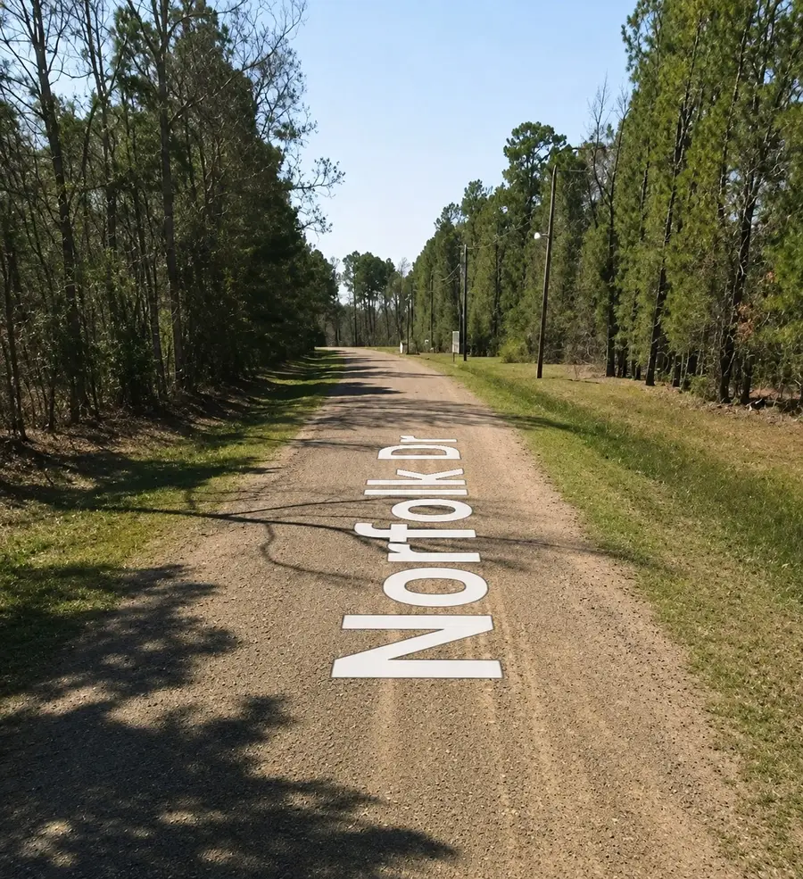 0 Norfolk, Livingston, TX 77351 - #3