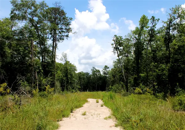 12425 Picos Road, Saratoga, TX 77585